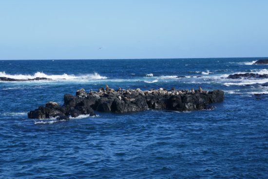 Seal Rock