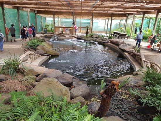 Rhyll Trout and Bush Tucker Farm