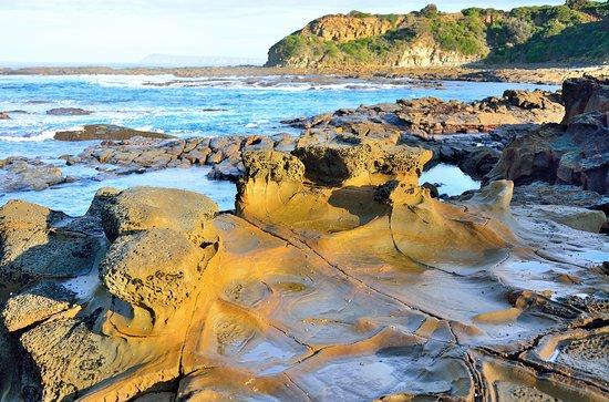 Shelly Beach