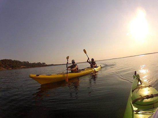 Pioneer Kayaking- Tours